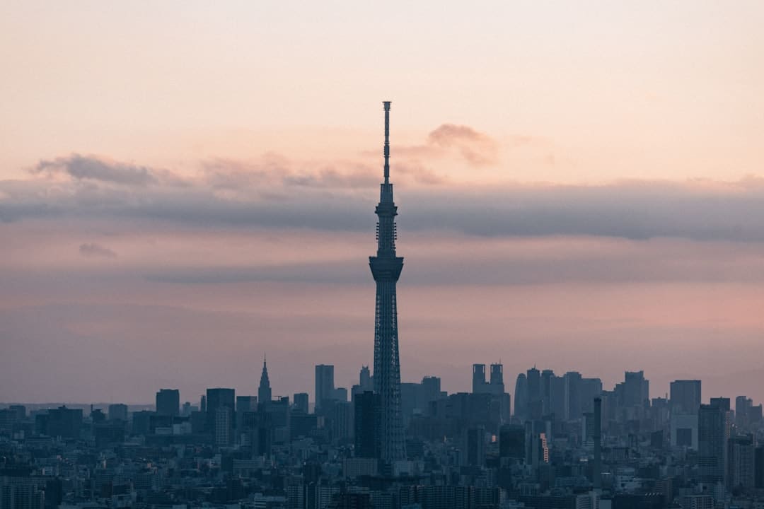 漂泊泡泡建立万元质量监督基金,发动公益项目助困童救漂泊动物